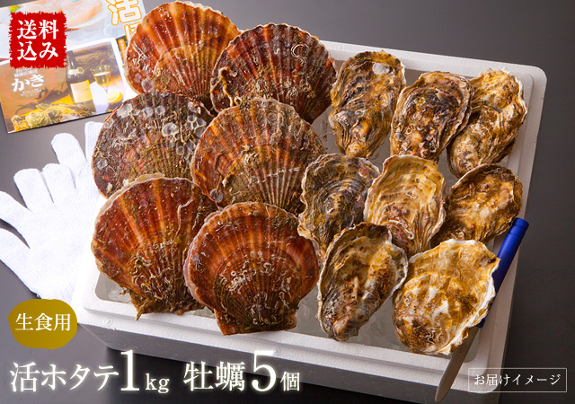 【送料込み】三陸産活ホタテ 約1.0kg(4～8枚)・真牡蠣大サイズ5個 ※各種レシピ・ナイフ・軍手付　年金暮らしでつましい暮らしをしている二人はとてもよろこんでくれました！贈って良かったです