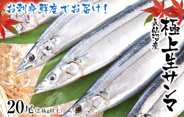 生さんま 秋刀魚 特集 サンマの通販 直送なら山内鮮魚店