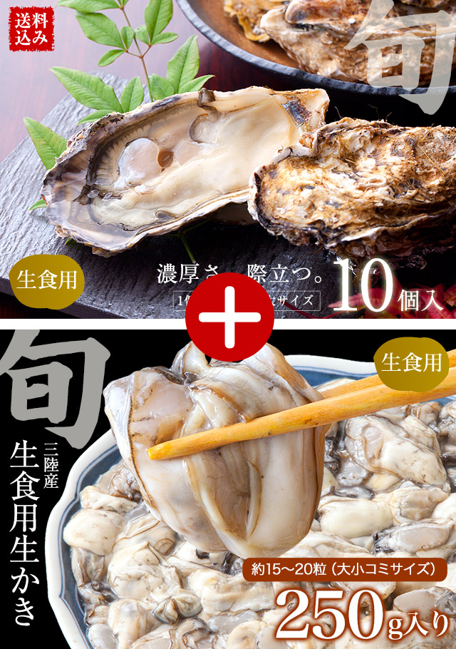 三陸殻付牡蠣(カキ)10個｜魚介類の通販 販売【山内鮮魚店】