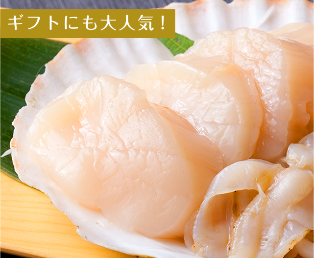 三陸産殻付活ホタテ 3.5kg｜魚介類の通販 販売【山内鮮魚店】