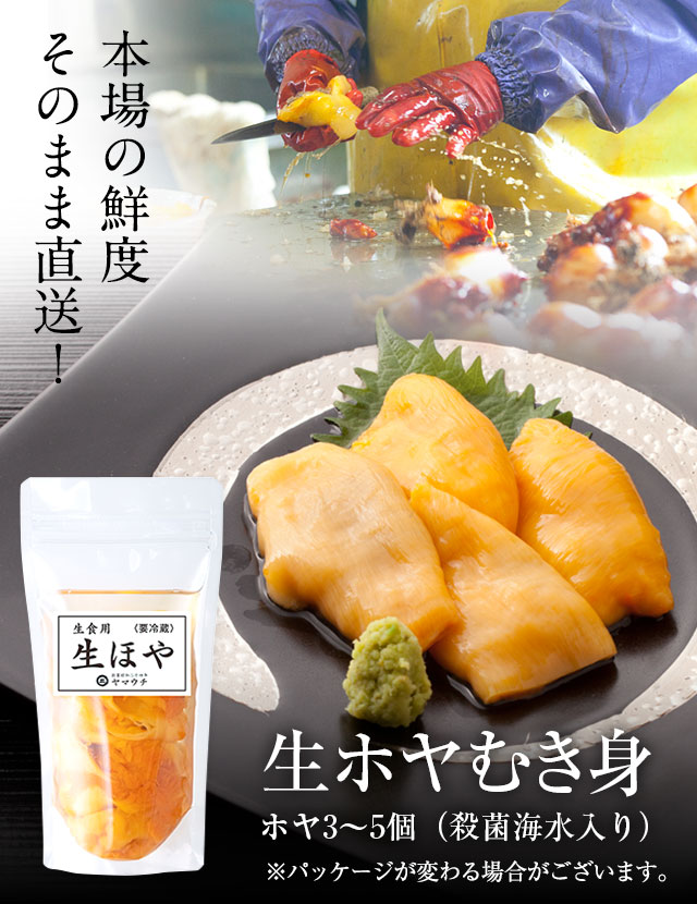 生ほや むき身｜ホヤの通販なら山内鮮魚店