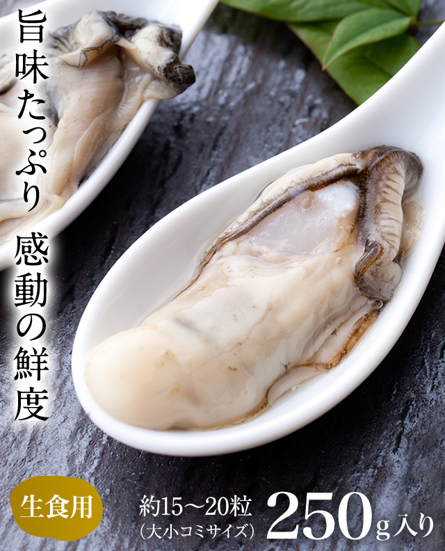 生食用生かき(むき身)250g｜魚介類の通販 販売【山内鮮魚店】