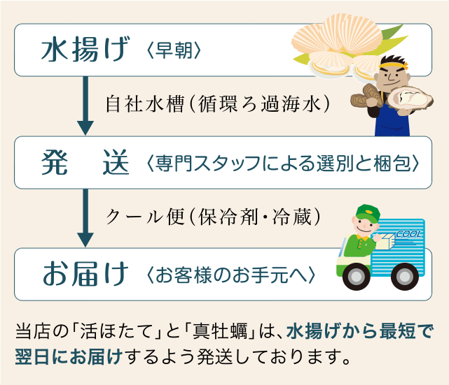 活ホタテ 牡蠣大5個セット 魚介類の通販 販売 山内鮮魚店