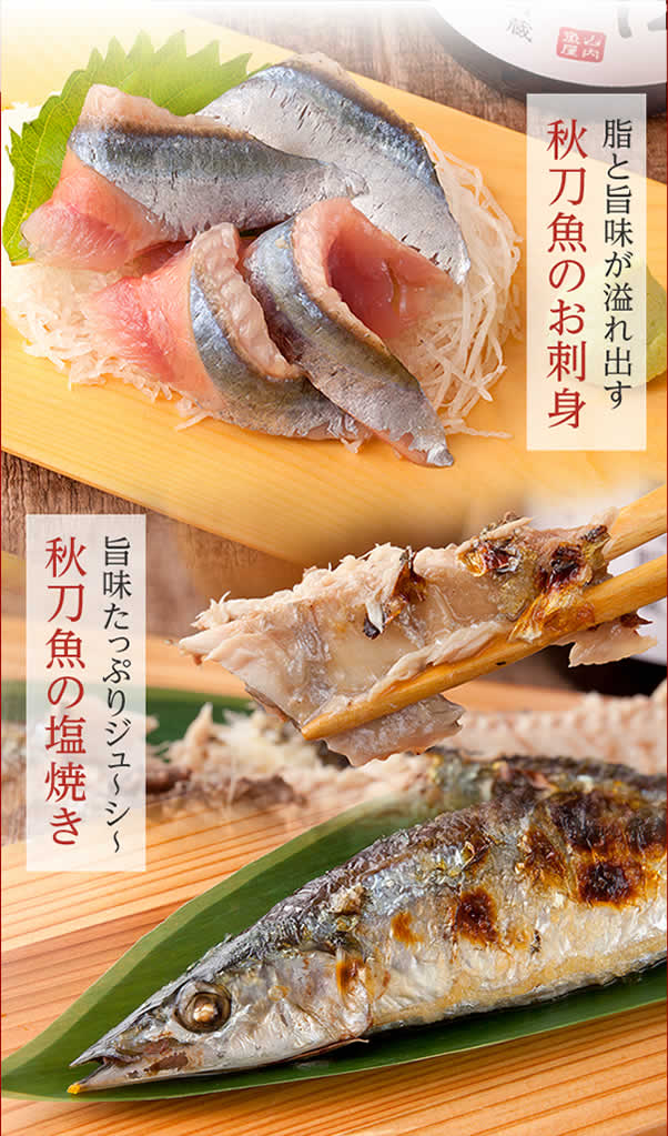 生さんま 秋刀魚 特集 サンマの通販 直送なら山内鮮魚店