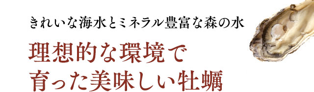 牡蠣(カキ)特集｜生かきの通信販売 牡蠣のギフトなら山内鮮魚店【モバイル】