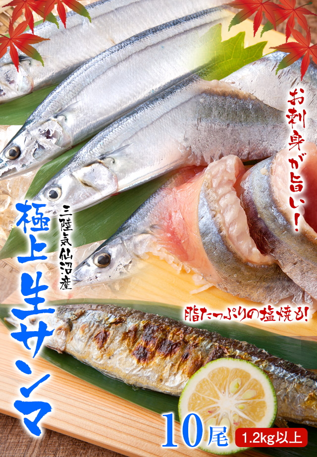 気仙沼産生さんま 10尾入｜サンマの通販 【山内鮮魚店】